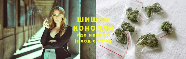 первитин Богданович