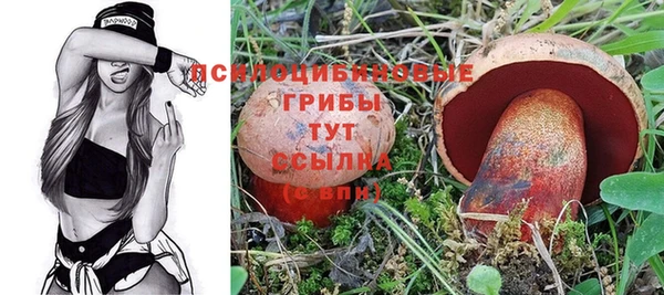 первитин Богданович