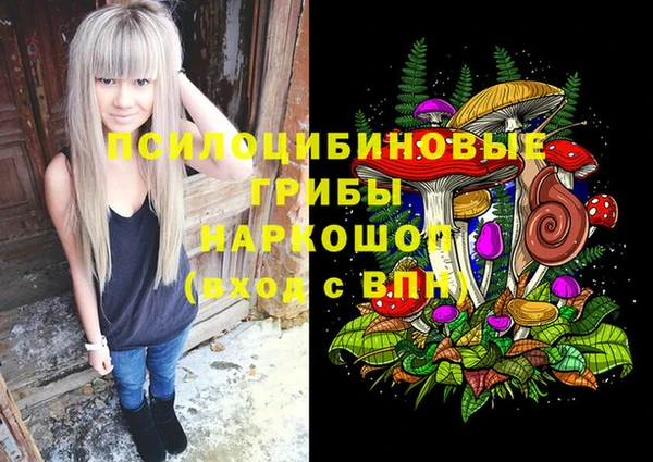 первитин Богданович
