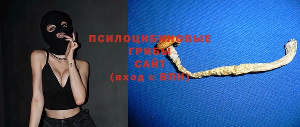 первитин Богданович