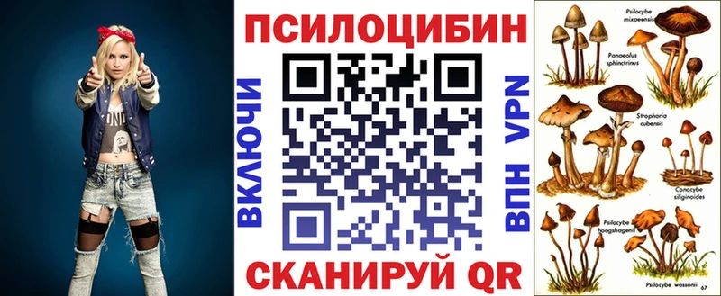 Галлюциногенные грибы Psilocybe  Купить  Верещагино 
